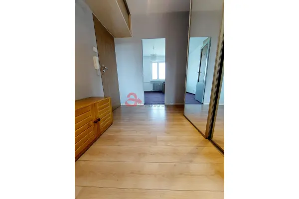 Poznań, Poznań-Stare Miasto, Winogrady, os. Słowiańskie, Słoneczne 2 pokoje na os. Słowiańskim z widokiem na zieleń