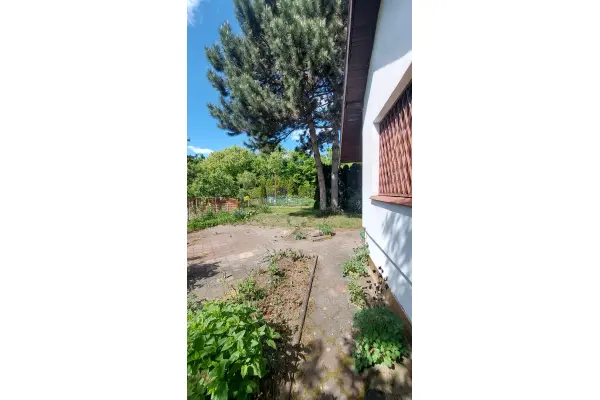 Poznań, Wilda, Dolna Wilda, Urocza działka ROD z domkiem murowanym