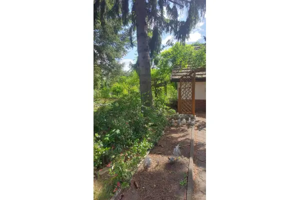 Poznań, Wilda, Dolna Wilda, Urocza działka ROD z domkiem murowanym