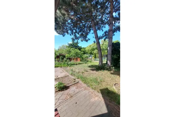 Poznań, Wilda, Dolna Wilda, Urocza działka ROD z domkiem murowanym